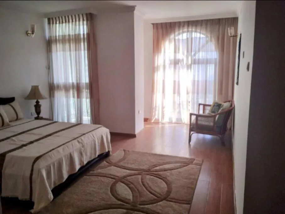 Spacious City Centre Apartment Addis Ababa Ethiopia