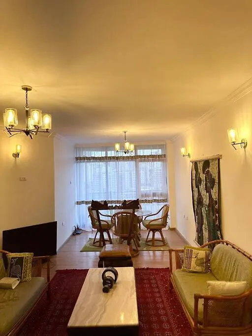 Spacious City Centre Apartment Addis Ababa