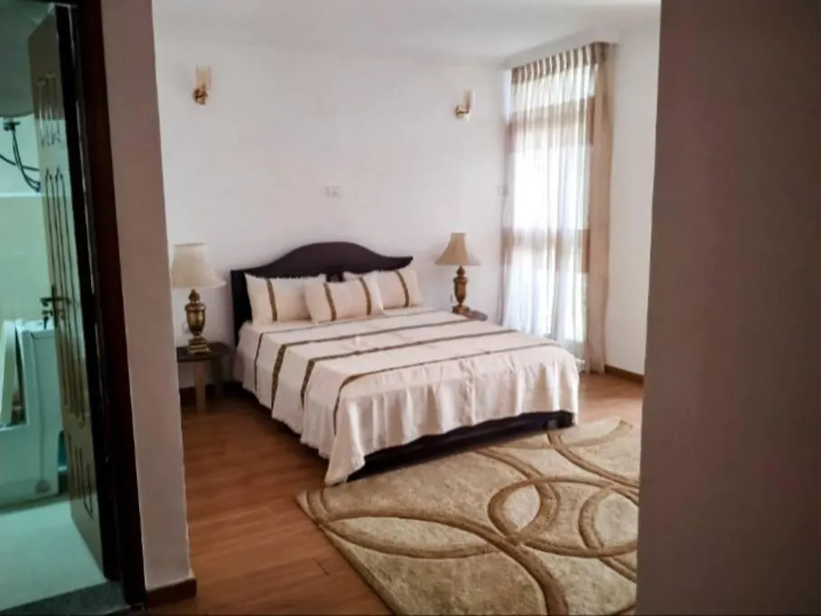 Spacious City Centre Apartment Addis Ababa