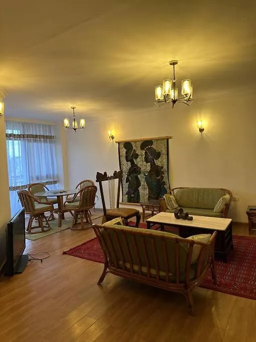 Spacious City Centre Apartment Addis Ababa